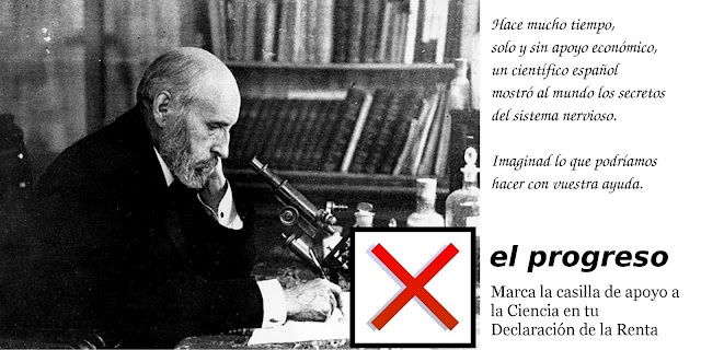 Casilla de apoyo a la Ciencia en la Declaración de la Renta Casilla de apoyo a la Ciencia en la Declaración de la Renta
